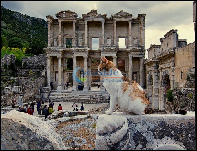 Efes ve Sirince Turu